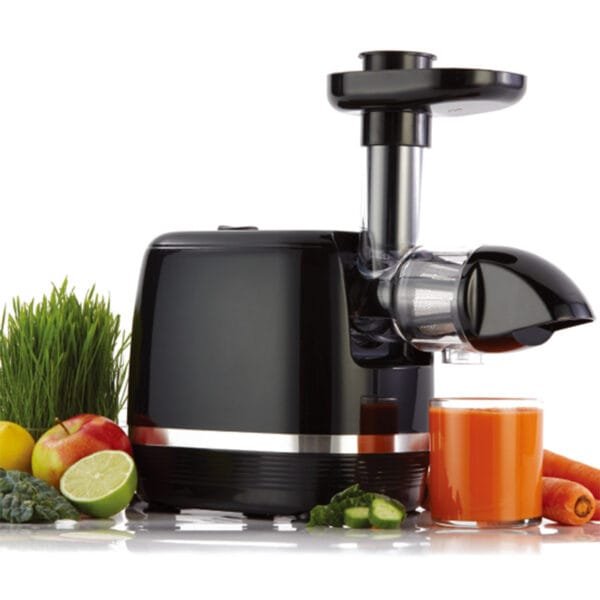 Anmir AMR523 Horizontal Slow Juicer