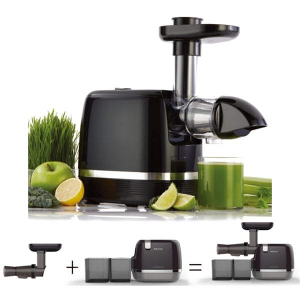 Anmir AMR523A Horizontal Slow Juicer