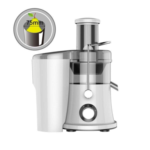 Anmir AMR538 Juice Extractor