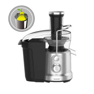 Anmir JE2101 Juice Extractor
