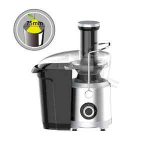 Recettes pour l'extracteur de jus Anmir JE2105