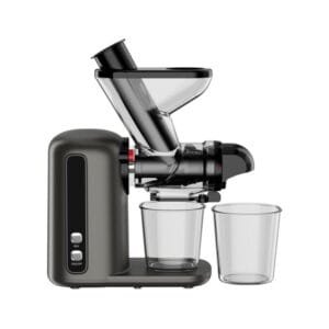 Anmir JS3301 Mini Horizontal Slow Juicer