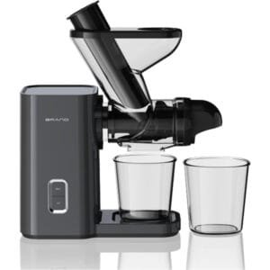 Anmir JS3303 Mini Horizontal Slow Juicer