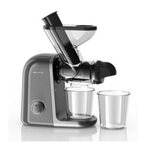 Anmir JS3306 Mini Horizontal Slow Juicer