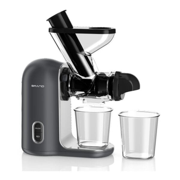 Anmir JS3308 Mini Horizontal Slow Juicer