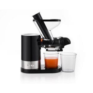 Anmir JS3311 Mini Horizontal Slow Juicer