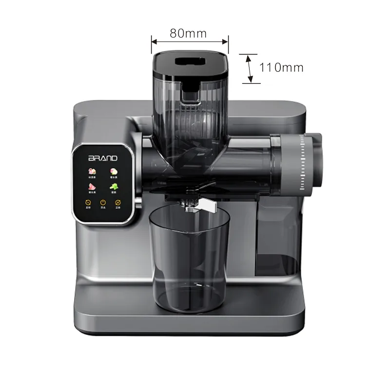 Zhongshan Anmir Electrical Appliance Industrial Co.,Ltd 2 Anmir JS9301 Large Feeding Horizontal Slow Juicer